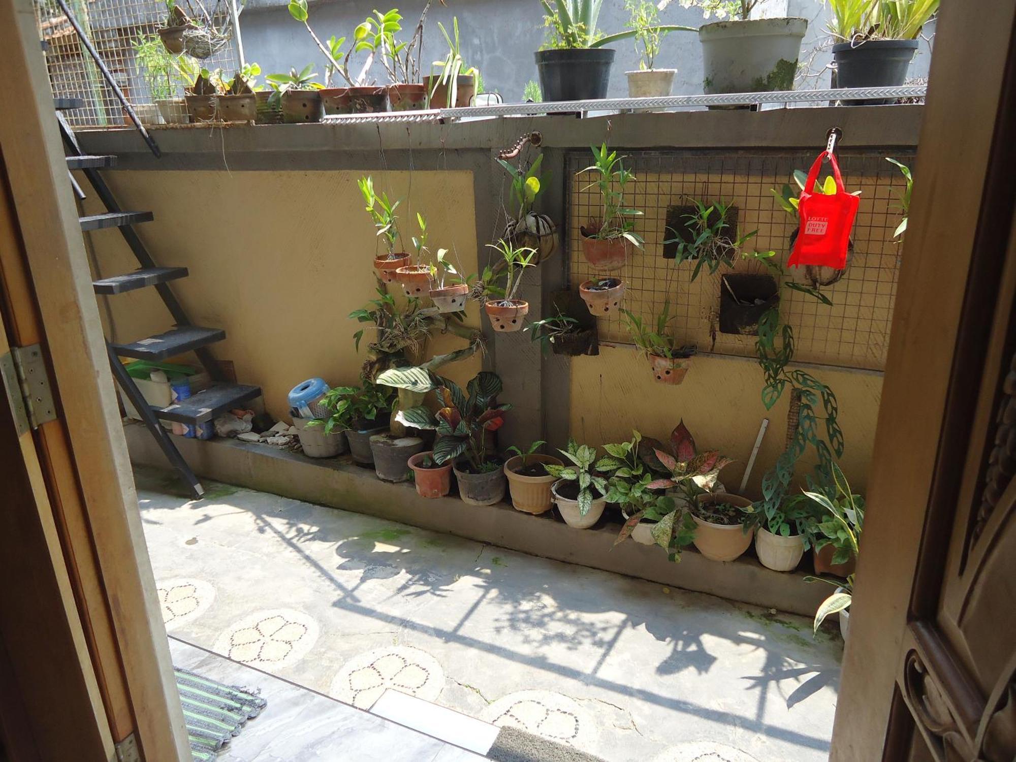 The Reinhold Guesthouse Bali Kerobokan Zewnętrze zdjęcie